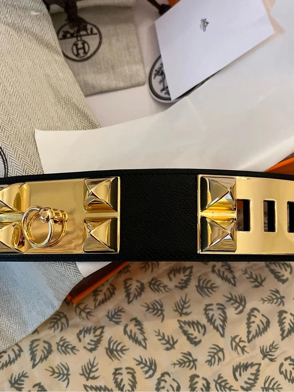 Black Leather Collier de Chien Belt with Gold Stud Hardware - Picture 8 of 11